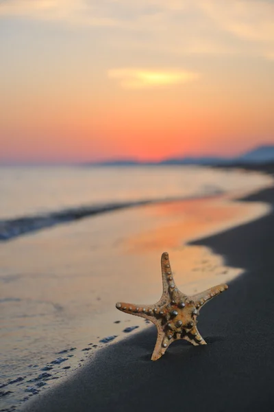 Lato plaża zachód z gwiazdą na plaży — Zdjęcie stockowe