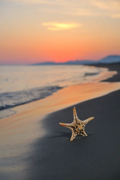 ビーチで星と夏のビーチの夕日 — ストック写真