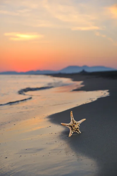 Літній пляжний захід з зіркою на пляжі — стокове фото