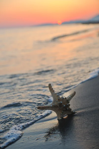 夏季海滩夕阳与海滩上的明星 — 图库照片