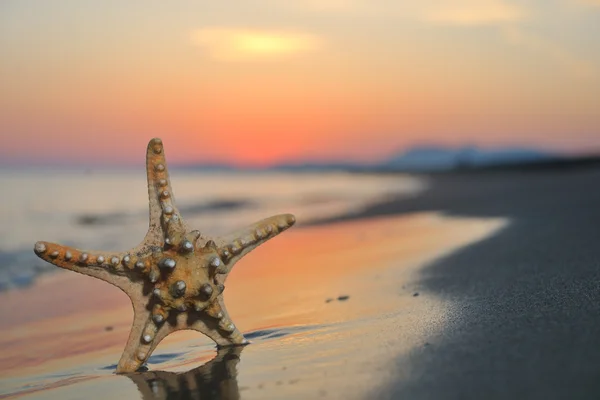 Летний пляжный закат со звездой на пляже — стоковое фото
