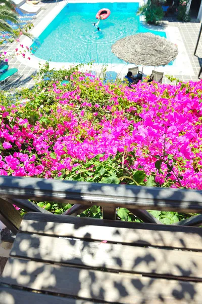 Varanda romântica com flores e vista para a piscina — Fotografia de Stock