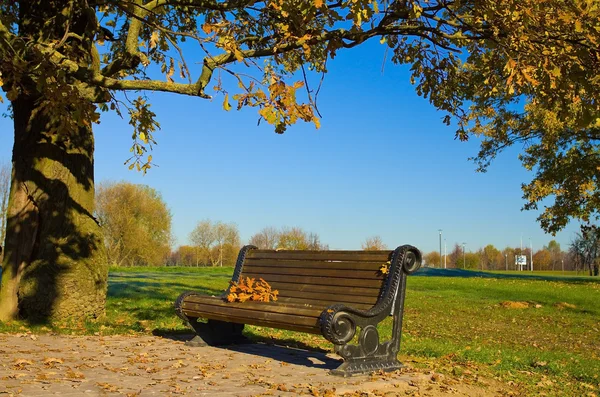 秋の公園にベンチ — ストック写真