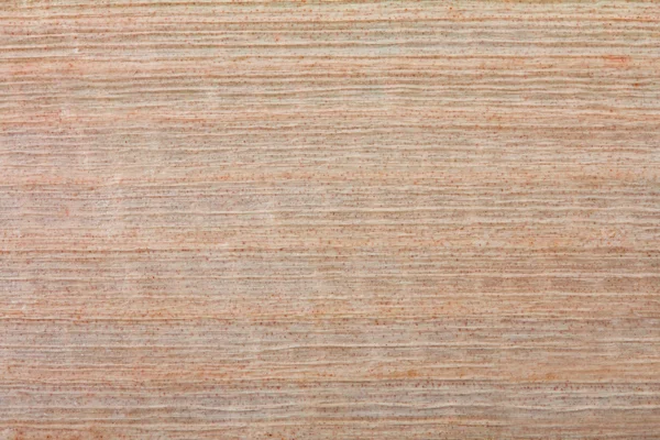 Корковая текстура — стоковое фото