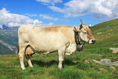 Cow in alps clipart