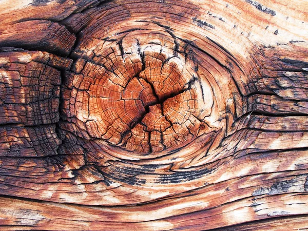 Textura rachada de madeira — Fotografia de Stock