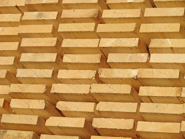 Frische Holznieten — Stockfoto