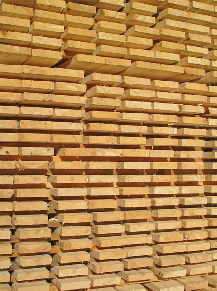 Φρέσκο ξύλινα καρφιά — Φωτογραφία Αρχείου