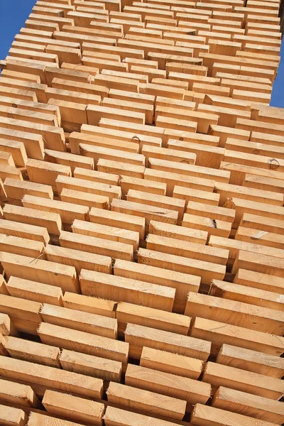 Fresh wooden studs — Stock Photo, Image