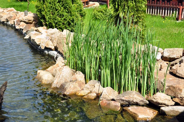 Stock image Garden with river