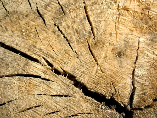 Struktur av trä ombord — Stockfoto