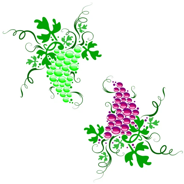 Dos tipos de uva — Vector de stock