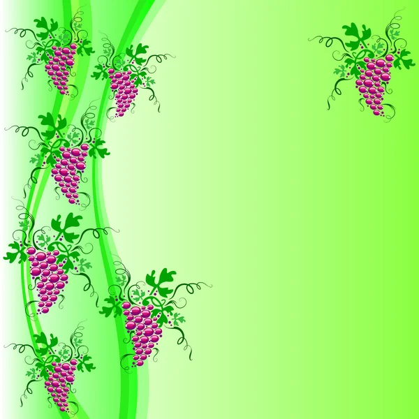 Background of grapes — Stock Vector
