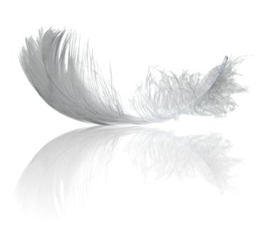 Light feather reflection clipart