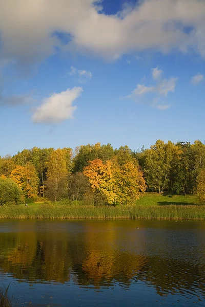Ouro e verde paisagem de outono — Fotografia de Stock