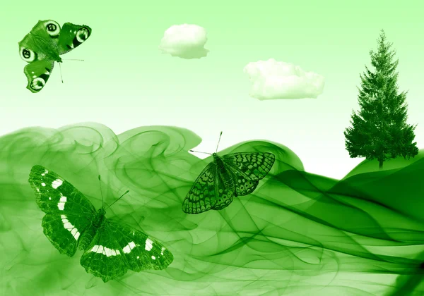 Zielona backgraund z motylami — Zdjęcie stockowe