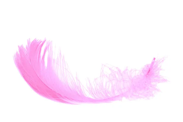 Розовое перо, изолированное на белом — стоковое фото