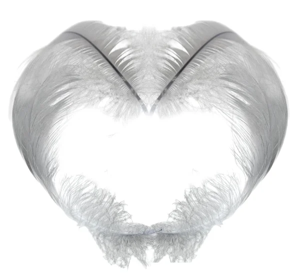 Białe piórko serca — Zdjęcie stockowe