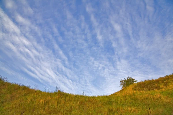 Sarı sonbahar hills — Stok fotoğraf