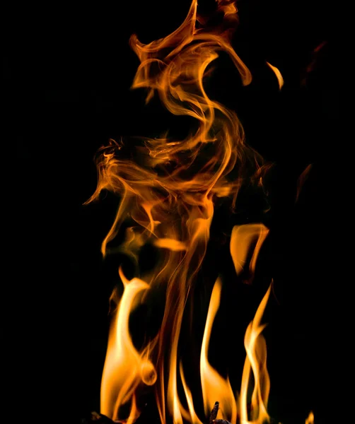 水牛角的橙色火焰 — 图库照片