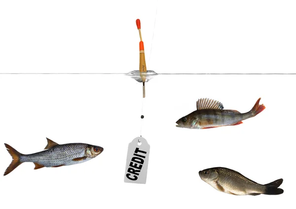 Fishes and hook with bait — Stock Photo, Image