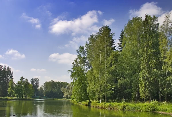 Teich im grünen Park — Stockfoto