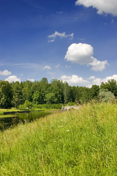 Grönt gräs och blå himmel — Stockfoto