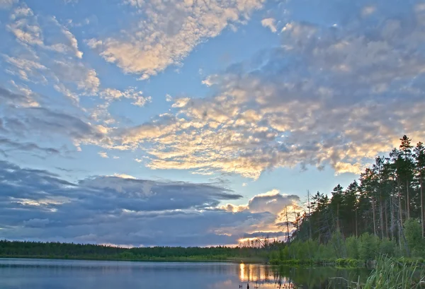 Pôr do sol acima pequena lagoa florestal — Fotografia de Stock