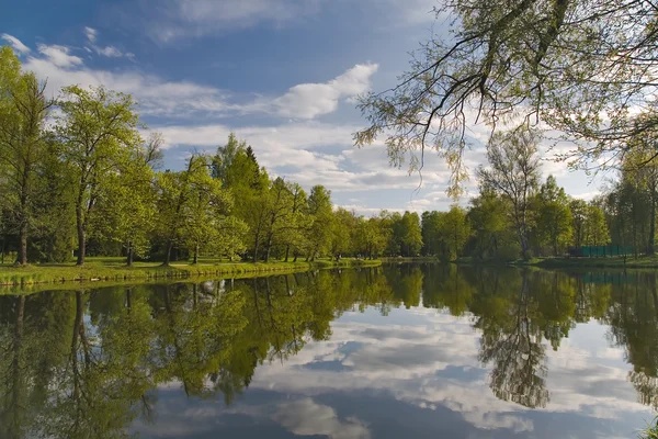 Nuvens e árvores reflexão na lagoa — Fotografia de Stock