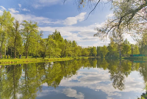 木々 や雲の反射の池 — ストック写真