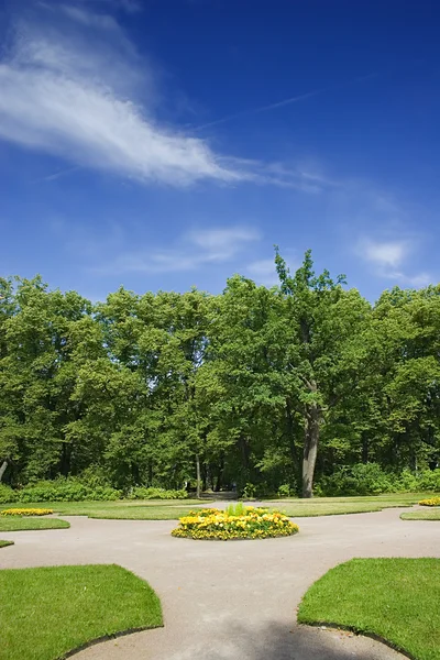 Bäume und Blumenbeete — Stockfoto