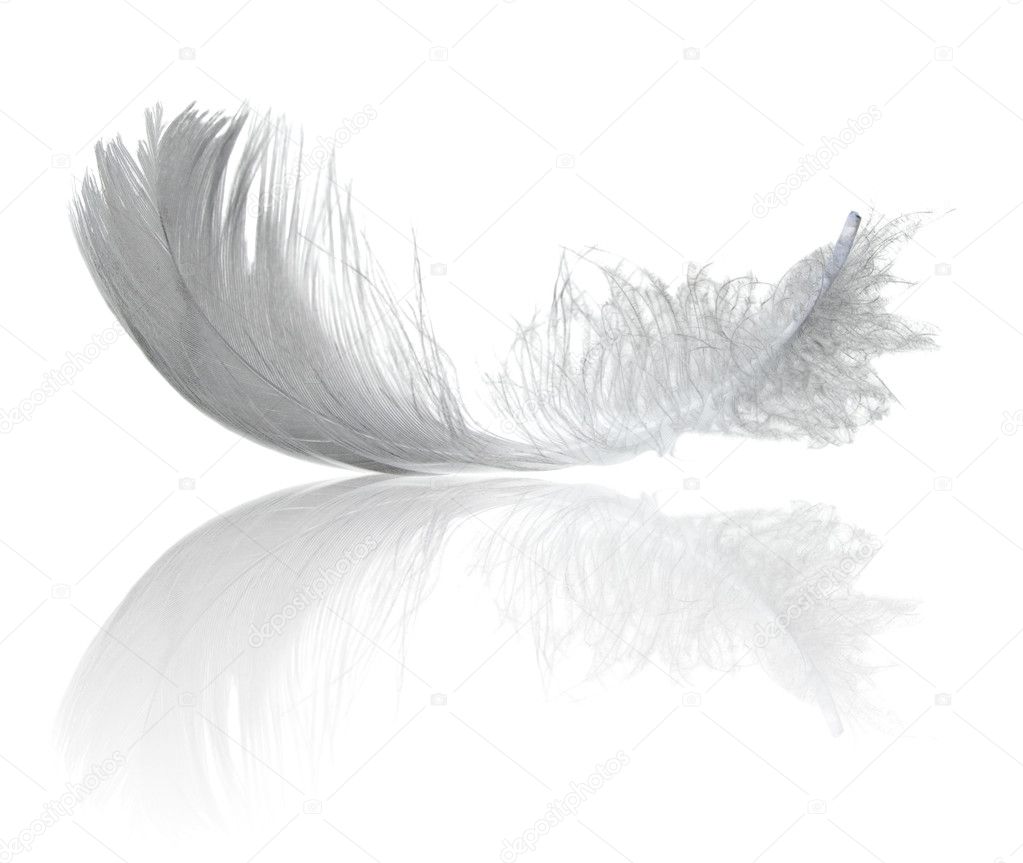 Light feather reflection