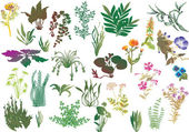 Sammlung verschiedener Pflanzen