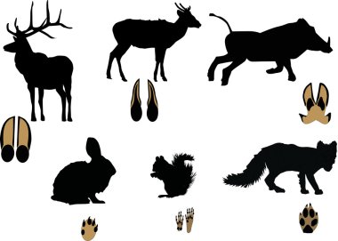 animals and its tracks isolated on white clipart