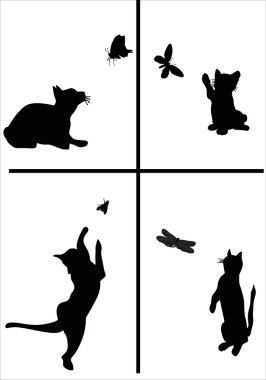 Kelebekler ile oynayan yavru kedi