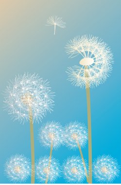 white dandelion illustration clipart