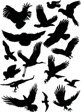 black flight birds clipart