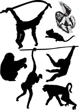 different monkey silhouettes clipart