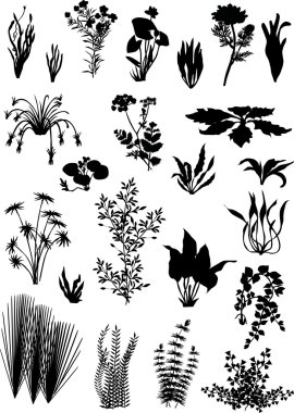 black on white plants collection clipart