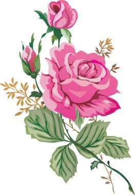 illustration with pink roses clipart