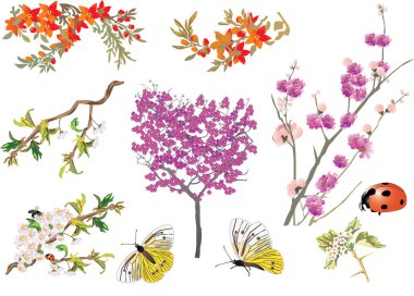 different branches with flowers clipart