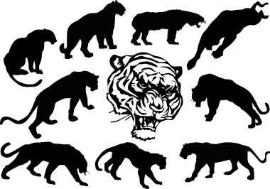 Different animals tracks set clipart