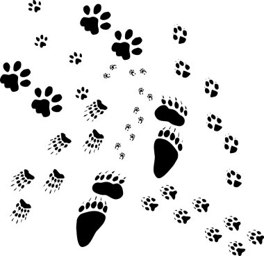 Old animals tracks clipart