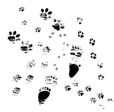 old animals tracks clipart