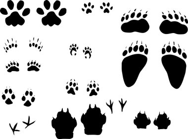 different animals tracks set clipart