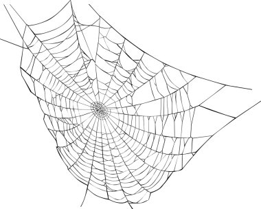 spider web illustration clipart