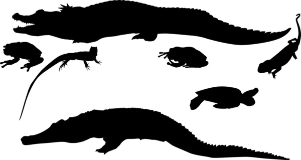 Six silhouettes de reptiles — Image vectorielle