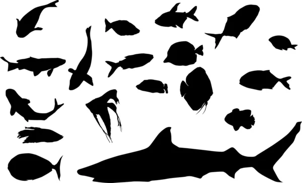 Farklı balık silhouettes — Stok Vektör