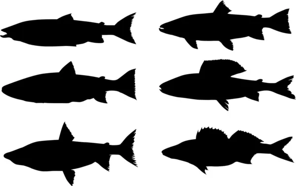 Six predator fish silhouettes — Stock Vector