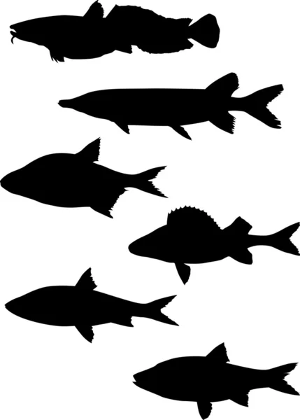Zes zwarte vissen — Stockvector